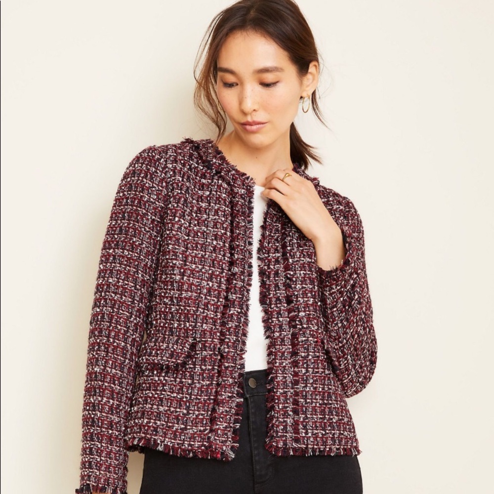 ANN TAYLOR TWEED FRINGE JACKET IN BURGUNDY